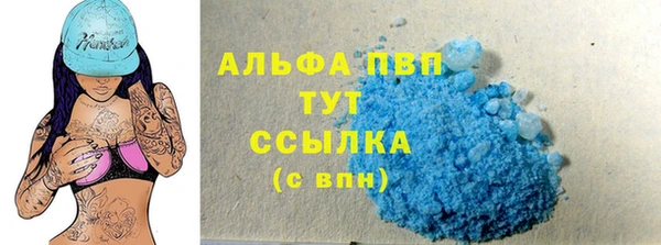 СК Протвино