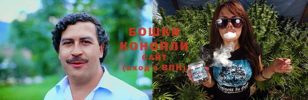 крисы Беломорск