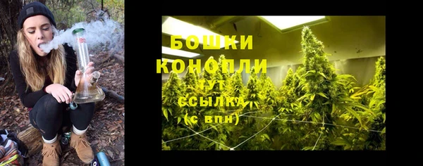 марки lsd Белокуриха