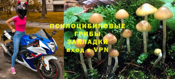 крисы Беломорск