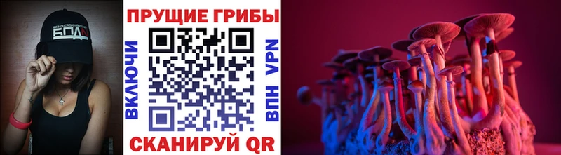 Псилоцибиновые грибы мицелий гидра зеркало Макаров