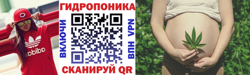 Шишки марихуана VHQ  Макаров 